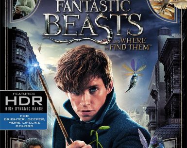 Fantastic Beasts and Where to Find Them 2016 Multi 2160p UHD BluRay HEVC HDR