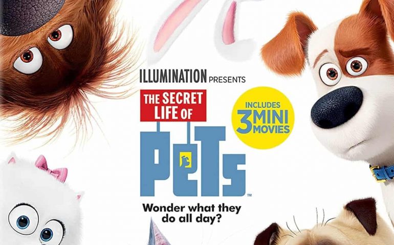 The Secret Life of Pets 2016 Blu-Ray 2160P 4K