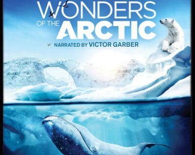 Wonders of the Arctic 4K 2014 DOCU Ultra HD 2160p