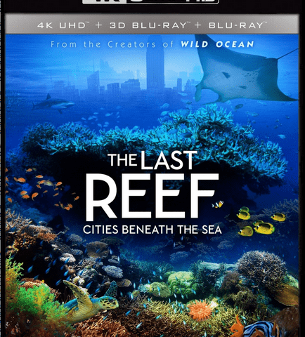 The Last Reef: Cities Beneath the Sea 4K 2012 Ultra HD 2160p