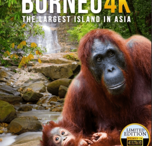 Borneo: The Fascination of Asia 4K 2017 DOCU Ultra HD 2160p