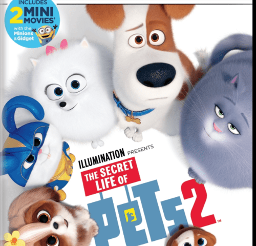 The Secret Life of Pets for mac download