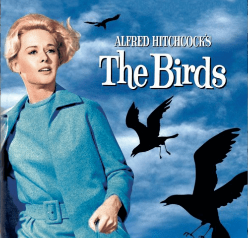 The Birds 4K 1963