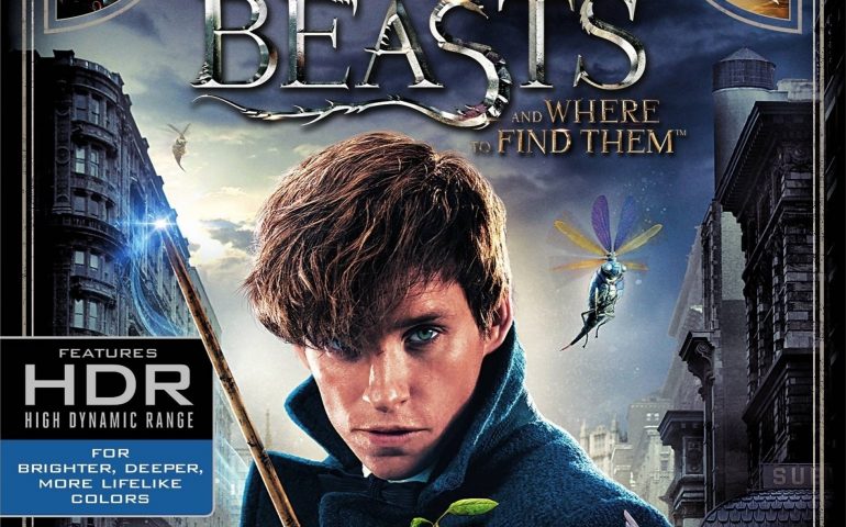 Fantastic Beasts and Where to Find Them 4K 2016
