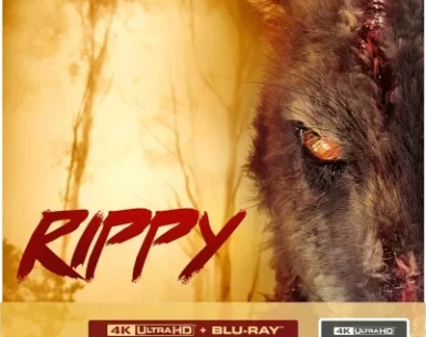 Rippy 4K 2024