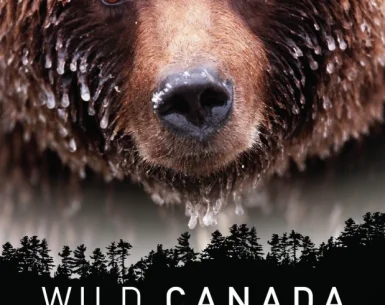 Wild Canada 4K 2014