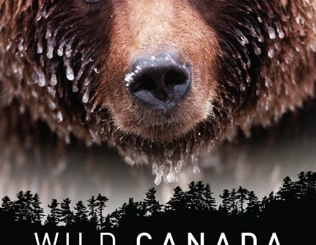 Wild Canada 4K 2014