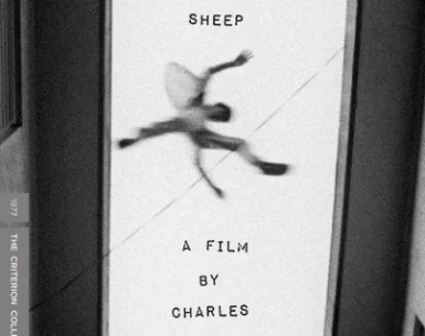Killer of Sheep 4K 1978