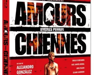 Amores Perros 4K 2000