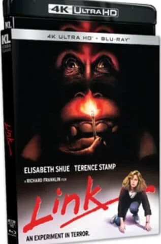 Link 4K 1986