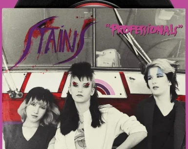 Ladies and Gentlemen, the Fabulous Stains 4K 1982