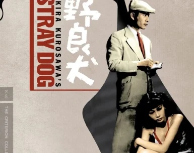 Stray Dog 4K 1949