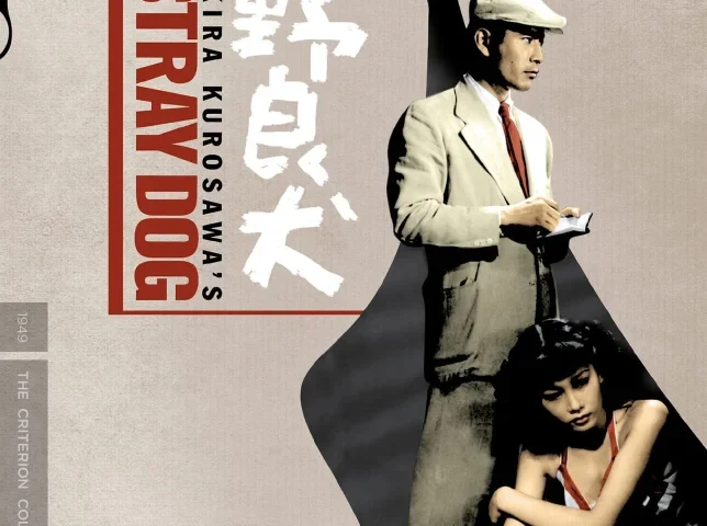 Stray Dog 4K 1949