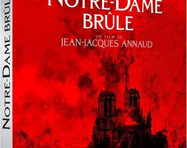 Notre-Dame on Fire 4K 2022