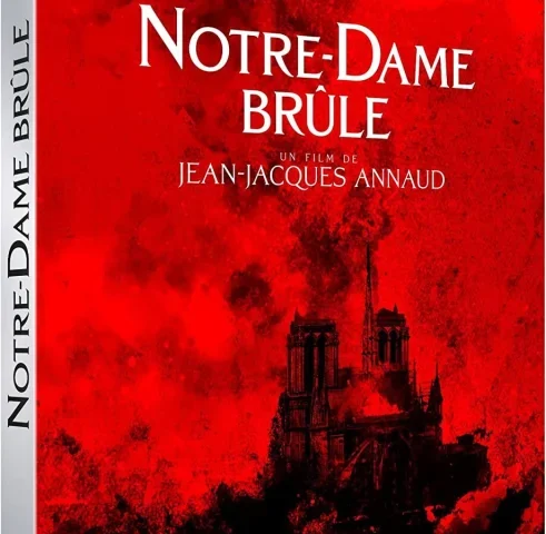 Notre-Dame on Fire 4K 2022